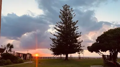 a tree in a field with a rainbow in the sky at Chez Céline & Rudi in Moriani Plage