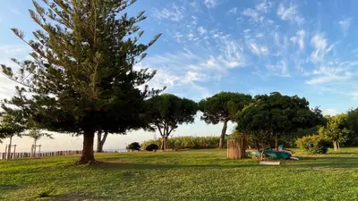 a park with trees on a grass field at Chez Céline & Rudi in Moriani Plage