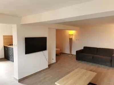 a living room with a couch and a flat screen tv at Entre Mer et Montagne in Sartène