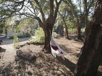 a hammock hanging from a tree in a yard at QUIET COTTAGE NEAR CITY CENTER in Porto-Vecchio