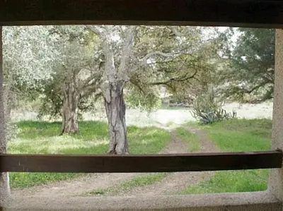a view from a window of a field with trees at QUIET COTTAGE NEAR CITY CENTER in Porto-Vecchio
