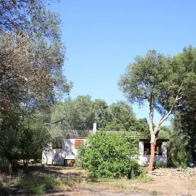 QUIET COTTAGE NEAR CITY CENTER