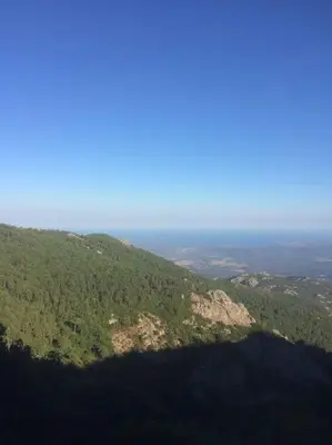 an aerial view of a mountain with trees on it at Fraîcheur et calme en montagne 30 mn de la mer in Porto-Vecchio