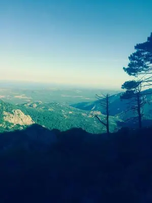 a view of a valley with trees on a hill at Fraîcheur et calme en montagne 30 mn de la mer in Porto-Vecchio
