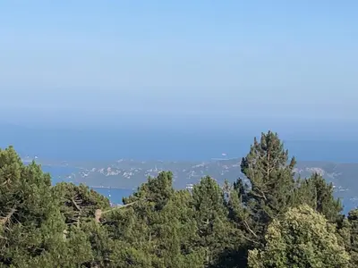 a view from the top of a hill with trees at Fraîcheur et calme en montagne 30 mn de la mer in Porto-Vecchio