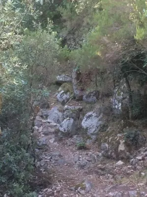 a rocky hillside with rocks and trees at Fraîcheur & calme en Montagne, 30minutes de la mer in Porto-Vecchio
