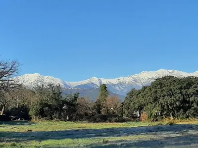 a field with trees and mountains in the background at Bel appartement Corse côte Est in Morta