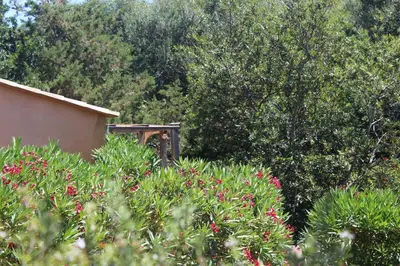a bush with pink flowers in a garden at MINI VILLA PALOMBAGGIA - Piscine chauffée in Porto-Vecchio