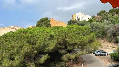 a tree with cars parked in a parking lot at Un Havre de Paix aux Sanguinaires in Ajaccio