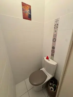 a bathroom with a toilet and a picture on the wall at T3 Cosy in Ajaccio
