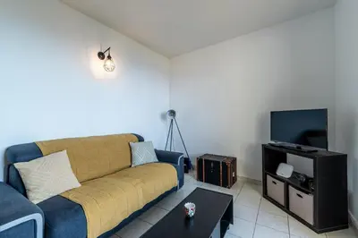 a living room with a couch and a tv at Les crêtes , magnifique T2 4 pers Route des Sanguinaires in Ajaccio