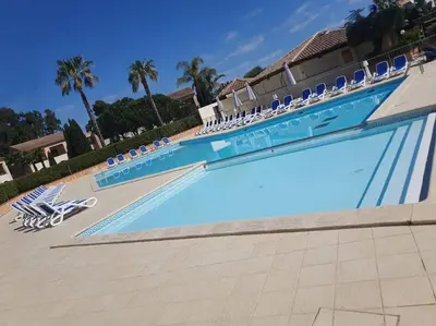 a large swimming pool with lounge chairs and palm trees at Appartement de vacances Marine de Bravone - Corse in Linguizzetta