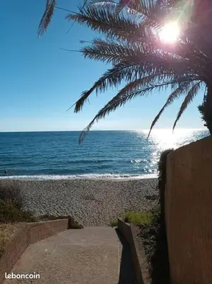 a beach with a palm tree and the ocean at Appartement de vacances Marine de Bravone - Corse in Linguizzetta