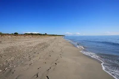 a beach with footprints in the sand and water at Entre Mer et Montagne in Venzolasca