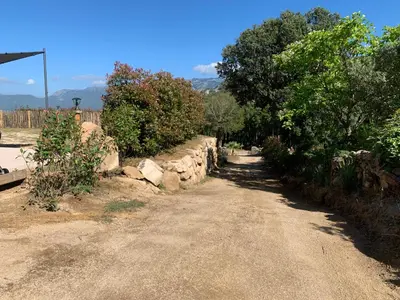 a dirt road with a stone wall and trees at A casetta maison de plain pied in Sartène