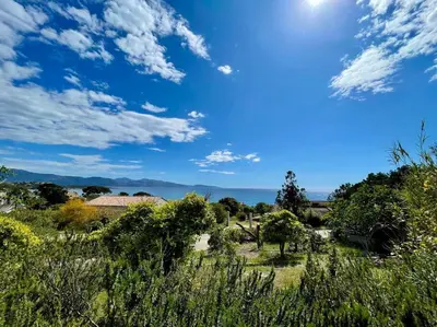 a field with trees and the sun in the sky at Maison en bord de mer in Coggia