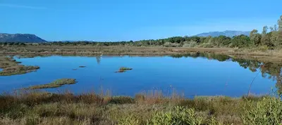 a large pond in the middle of a field at Studio grande piscine dans résidence hôtelière, proche plage in Lecci