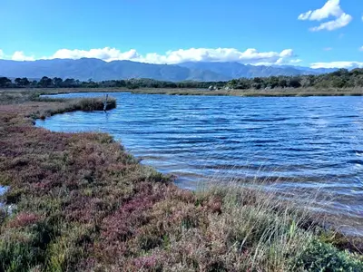 a large body of water with mountains in the background at Studio grande piscine dans résidence hôtelière, proche plage in Lecci