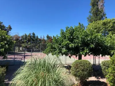 a tennis court with trees and a fence at Grand studio les pieds dans l'eau in San-Nicolao