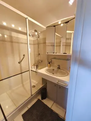 a white bathroom with a shower and a sink at Grand studio les pieds dans l'eau in San-Nicolao