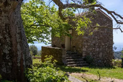 a stone building with stairs and a tree at Magnifique Bergerie RONDOLINO vue mer et montagne - U Sognu di Paomia in Cargèse