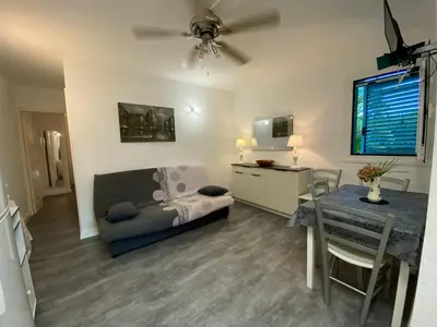 a living room with a bed and a table and a television at Résidence LO MONACO Haut de villa, Appartements et Studios in San-Nicolao