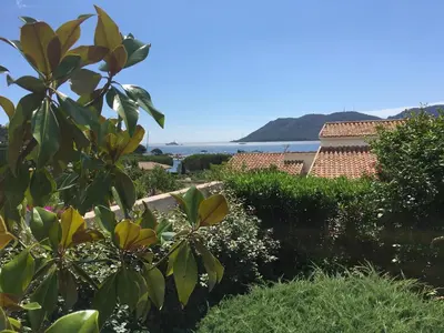 a garden with a view of the ocean at Appartement Marina di Fiori by Intendance Excellency in Porto-Vecchio