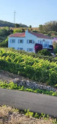 a house on the side of a hill with a road at Charmant T3 en rez de jardin d'une villa in Ghisonaccia