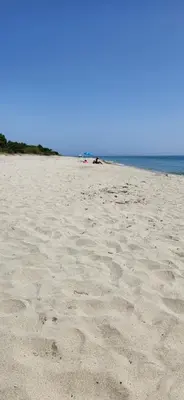 a beach with footprints in the sand and the ocean at Charmant T3 en rez de jardin d'une villa in Ghisonaccia