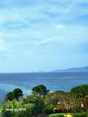 a view of the ocean with trees and the sky at Appartement de standing bord de mer in Pietrosella