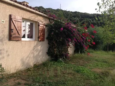 a building with a window and a bush of flowers at Residence Cucunacciu in Cargèse