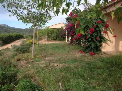a garden with flowers on the side of a house at Residence Cucunacciu in Cargèse