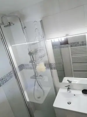 a bathroom with a shower and a sink at Porticcio avec Piscine proche plage in Porticcio
