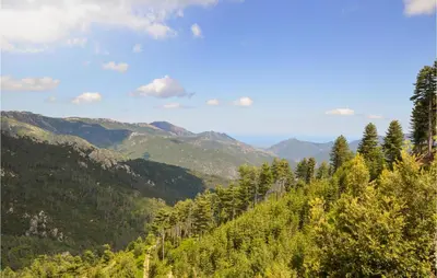 a hillside with trees and mountains in the background at 1 Bedroom Lovely Apartment In Ghisoni in Ghisoni