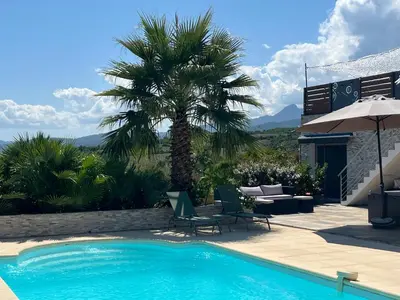 a pool with chairs and a palm tree next to a house at Villa Héliopolis in Ventiseri