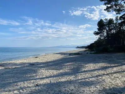 a sandy beach with trees and the ocean at Villa Vittoria in Ghisonaccia