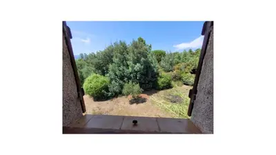 an open window with a view of a tree at Plage Vardiola à pied Familiale 10 pers Corse Sud Porto Vecchio in Vardiola