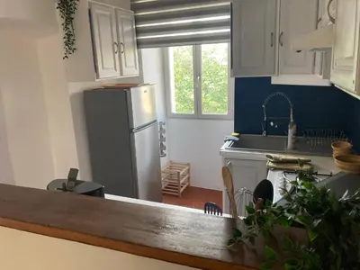 a kitchen with a refrigerator and a sink at L’Attellu in Feliceto