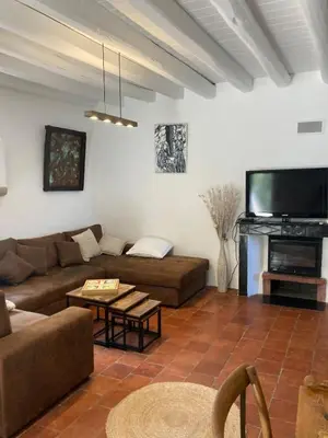 a living room with a couch and a fireplace at L’Attellu in Feliceto