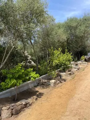 a dirt road with some plants and trees on it at T2 très bien équipé vue mer et au calme in Ajaccio