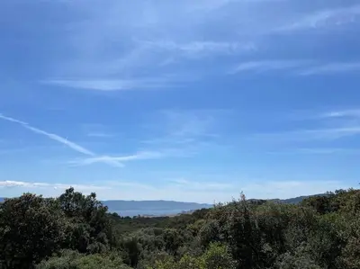 a view of trees and a blue sky at T2 très bien équipé vue mer et au calme in Ajaccio