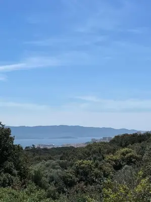 a view of a forest of trees with a blue sky at T2 très bien équipé vue mer et au calme in Ajaccio