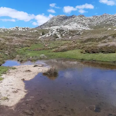 a small pool of water with a mountain in the background at Appartement 3 pièces 80 m2 Quenza in Quenza