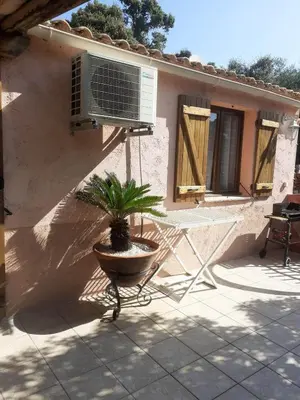 a plant in a pot in front of a house at Petite maison in Lecci