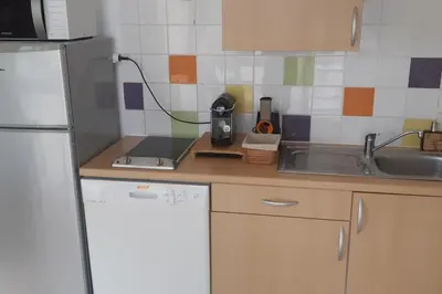 a kitchen with a white refrigerator and a sink at Mini Villa - Vue mer in Serra-di-Ferro
