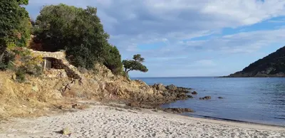 a sandy beach with trees and the water at Appartement T2 en Corse dans résidence avec piscines proche de Porto Vecchio in Lecci