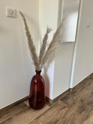 a red vase with grass in it sitting on a floor at Très bel appartement à Ajaccio in Ajaccio