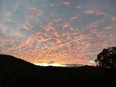a sunset over a hill with a tree in the foreground at T3 en rez de villa sur les hauteurs d'Ajaccio in Ajaccio