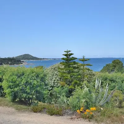 mare noi