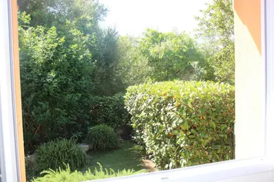 a window view of a garden with a hedge at CASA PALOMBAGGIA - Piscine Chauffée in Porto-Vecchio